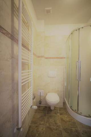 Отель La Curtea Domneasca Пьятра-Нямц Двухместный номер с 1 кроватью и собственной ванной комнатой-26
