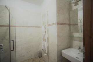Отель La Curtea Domneasca Пьятра-Нямц Двухместный номер с 1 кроватью и собственной ванной комнатой-29