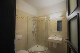 Отель La Curtea Domneasca Пьятра-Нямц Двухместный номер с 1 кроватью и собственной ванной комнатой-30